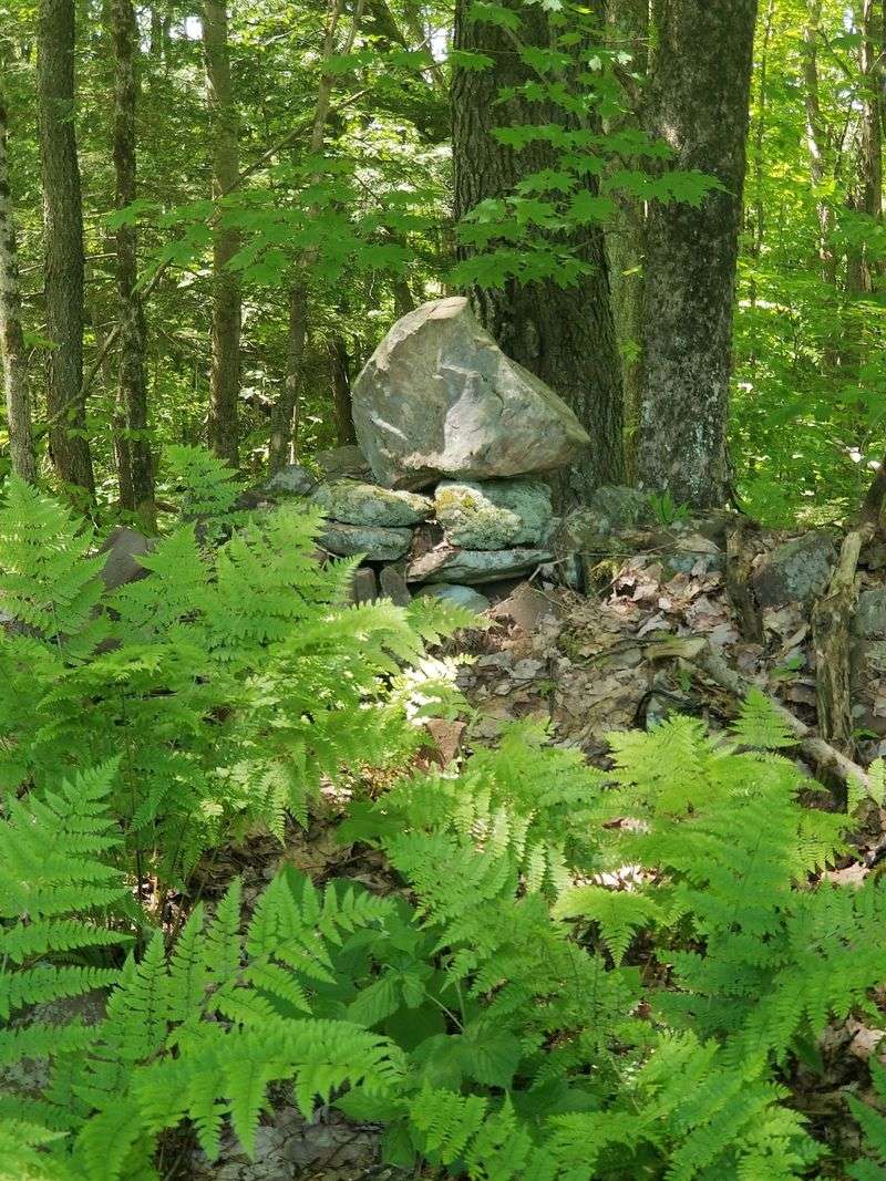 Relics Among The Roots