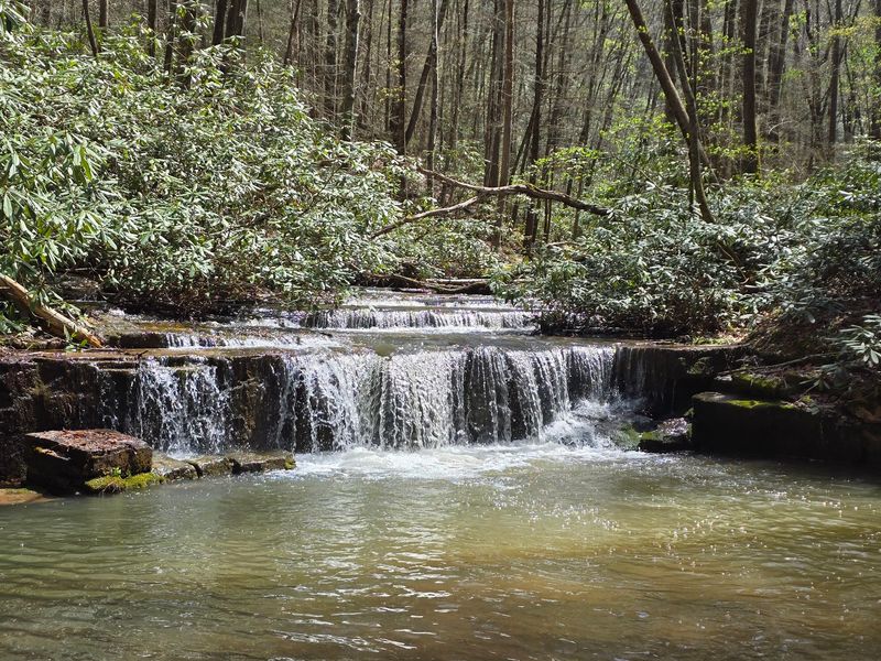 Laurel Run Park