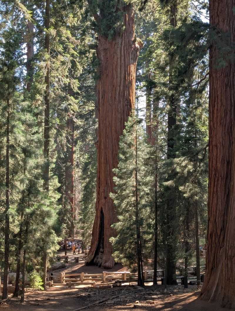 Giants That Touch Sky