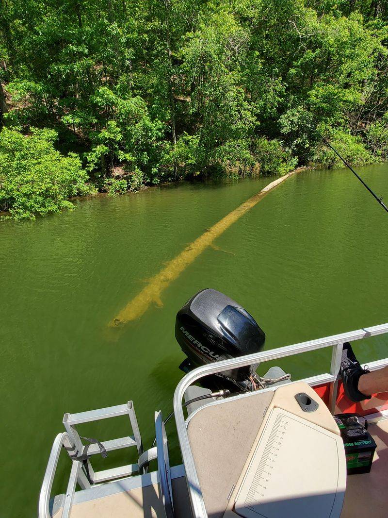 Launching Your Boat Made Simple