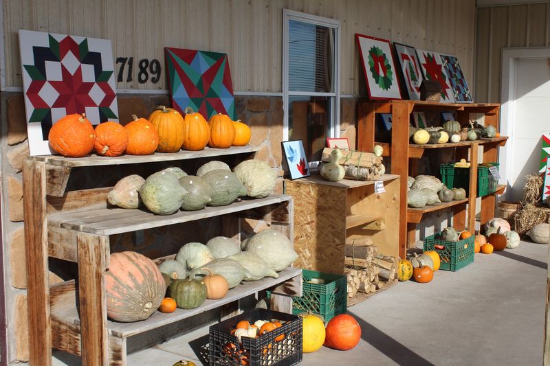 Farm Grown Produce Straight From The Fields