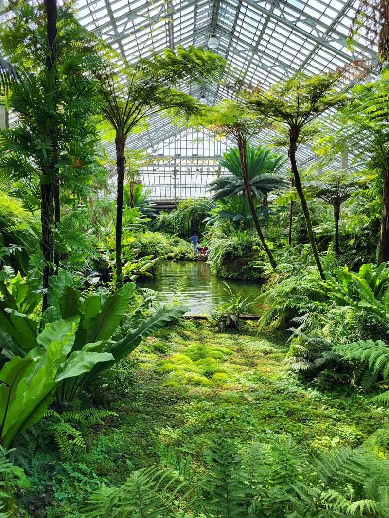 Koi Ponds, Turtles, And The Aroid House Rainforest Feel