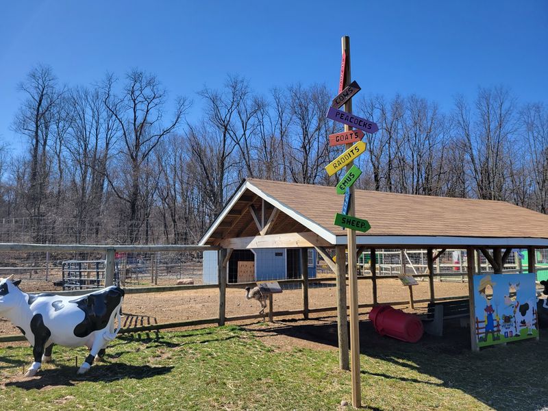 Picnic Tables And Snack Stops