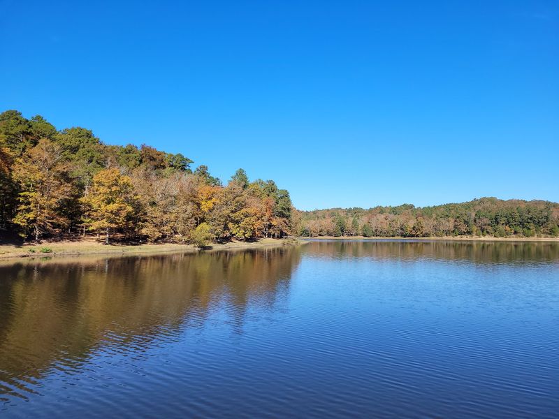 Camping From Full Hookups To Tent Sites