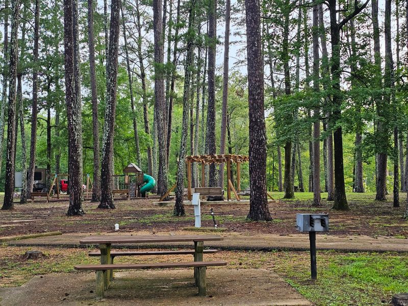 Shaded Playground And Geese The Kids Can Feed