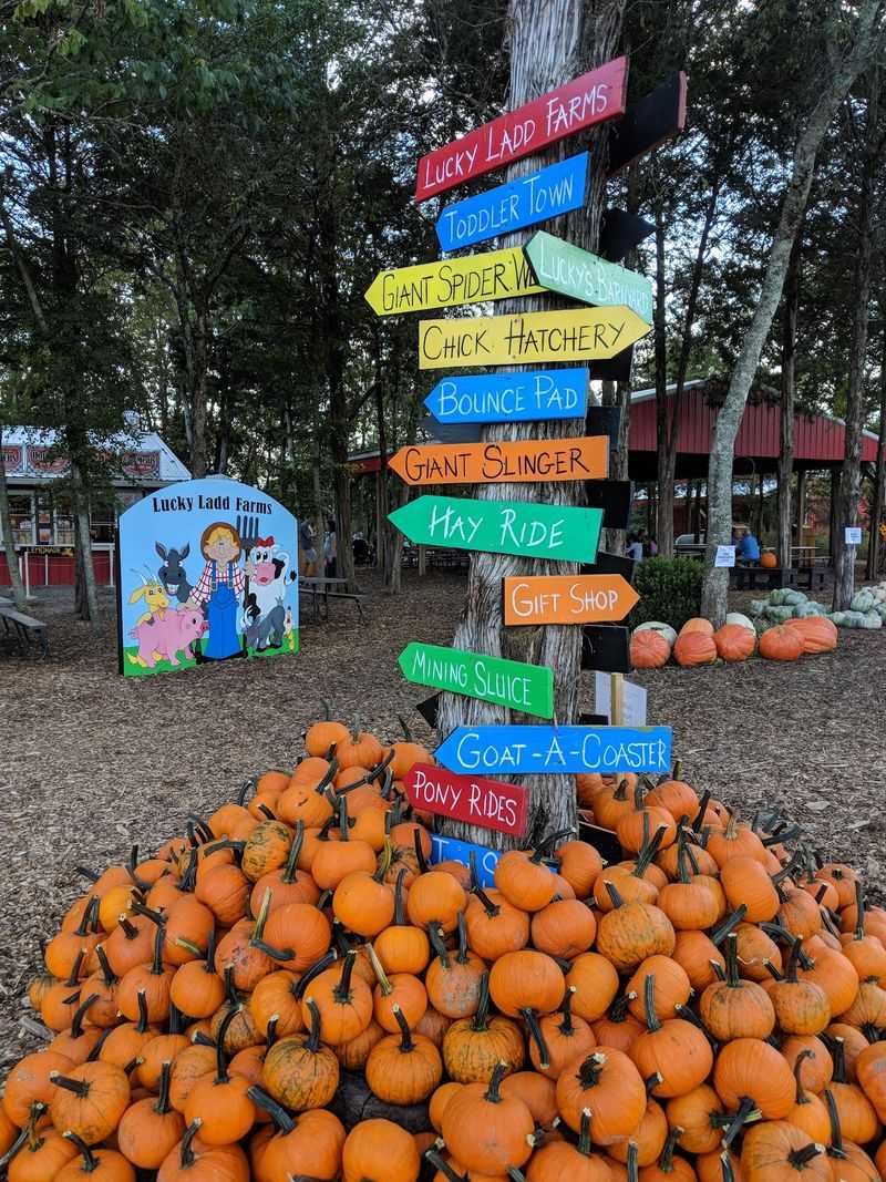 Lucky Ladd Farms - Farm Park & Zoo, Eagleville, TN