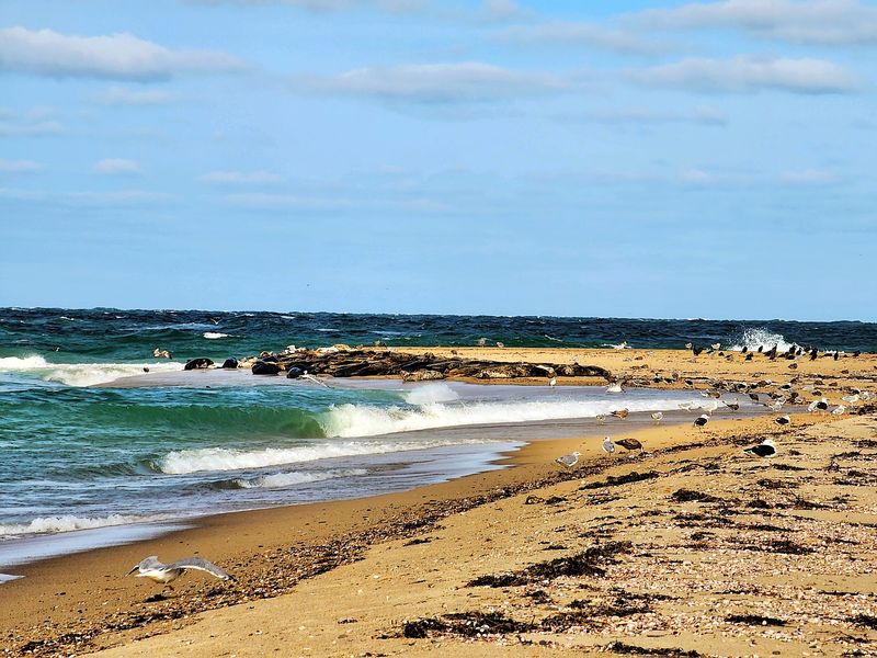 Do Not Drive Onto The Beach Without Checking The Rules