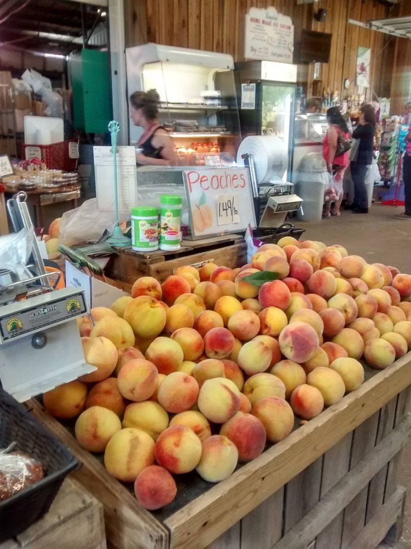 Pick Your Own Orchard Adventures