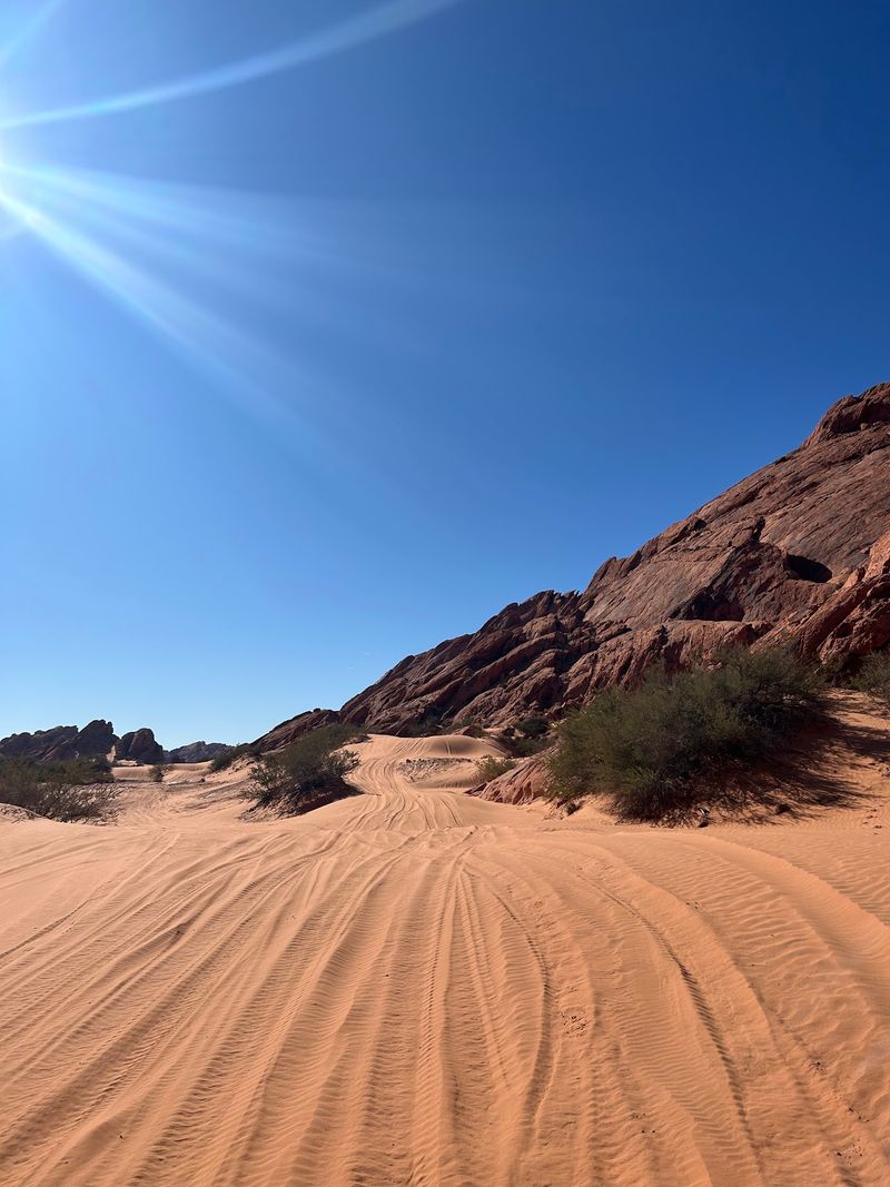 Dirt Roads Built For Curious Drivers