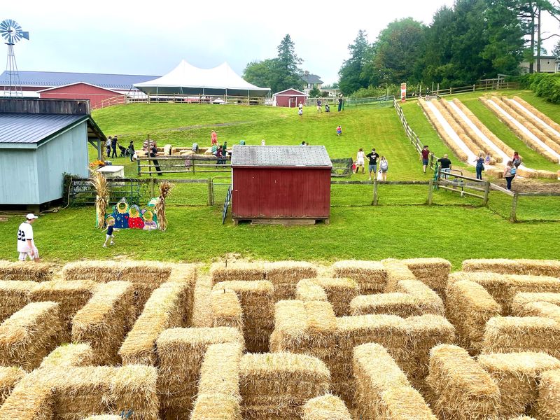 Where Family Traditions Take Root