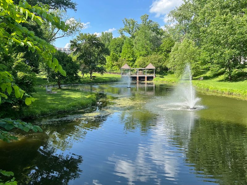 Strouds Run And The Lake In The Woods