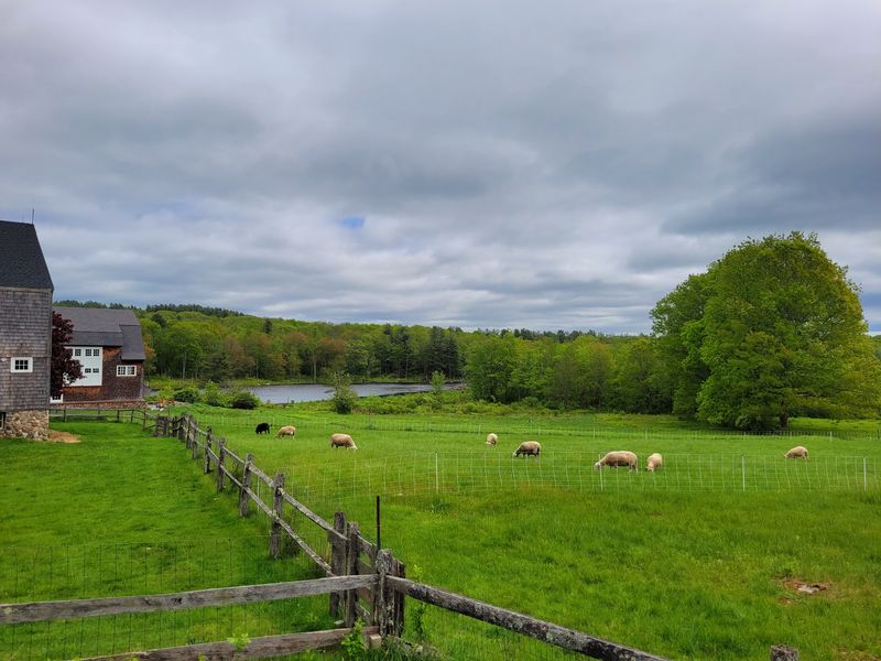 Mass Audubon's Wachusett Meadow Wildlife Sanctuary