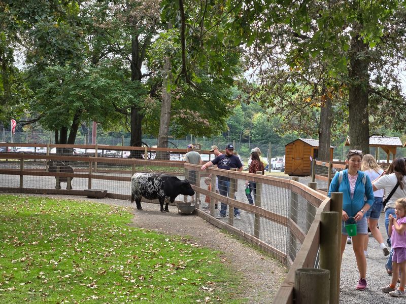 Clean Paths And Easy Walking For All Ages