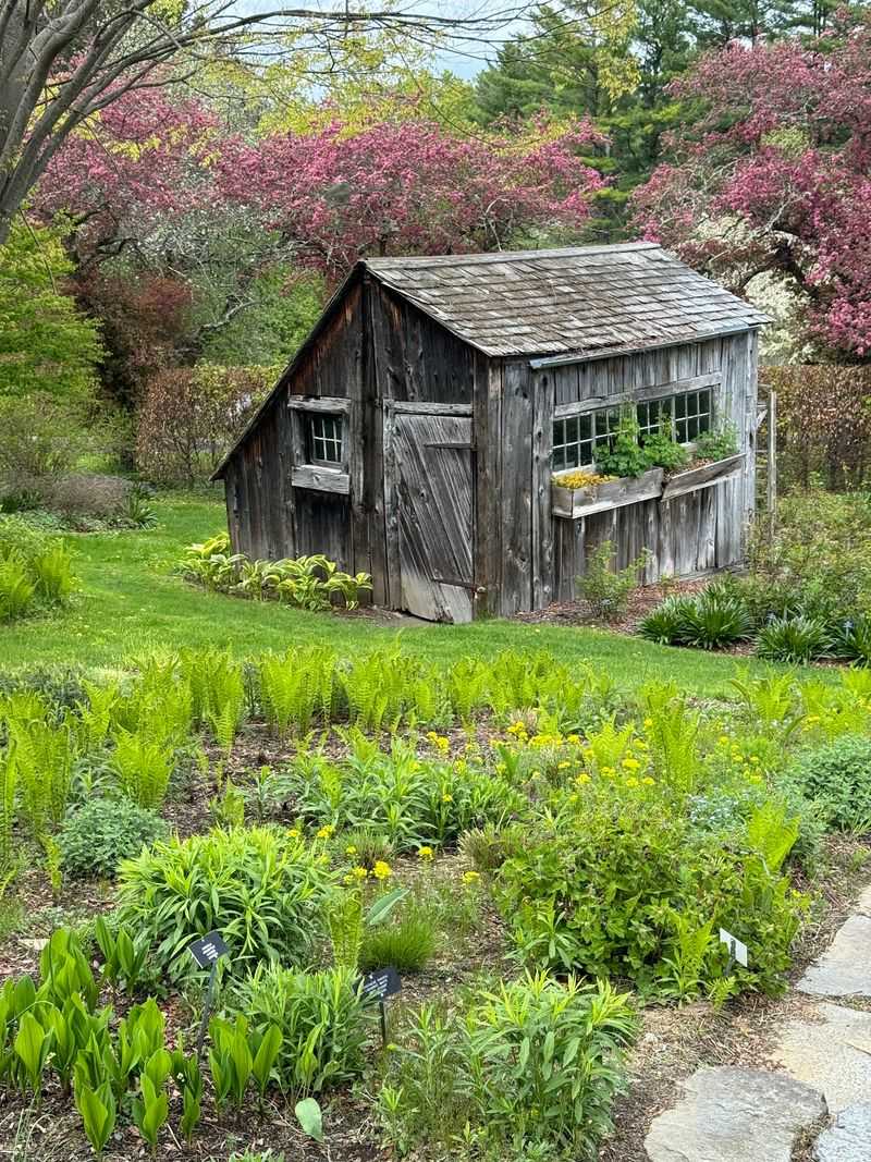 Berkshire Botanical Garden Harvest Festival