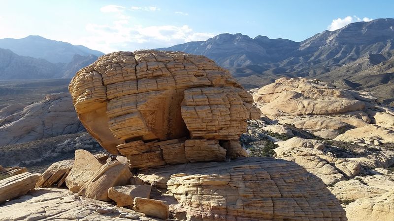 Warm Sandstone Can Keep Wildlife Active
