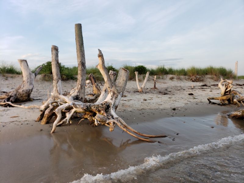 Sandy Point Island
