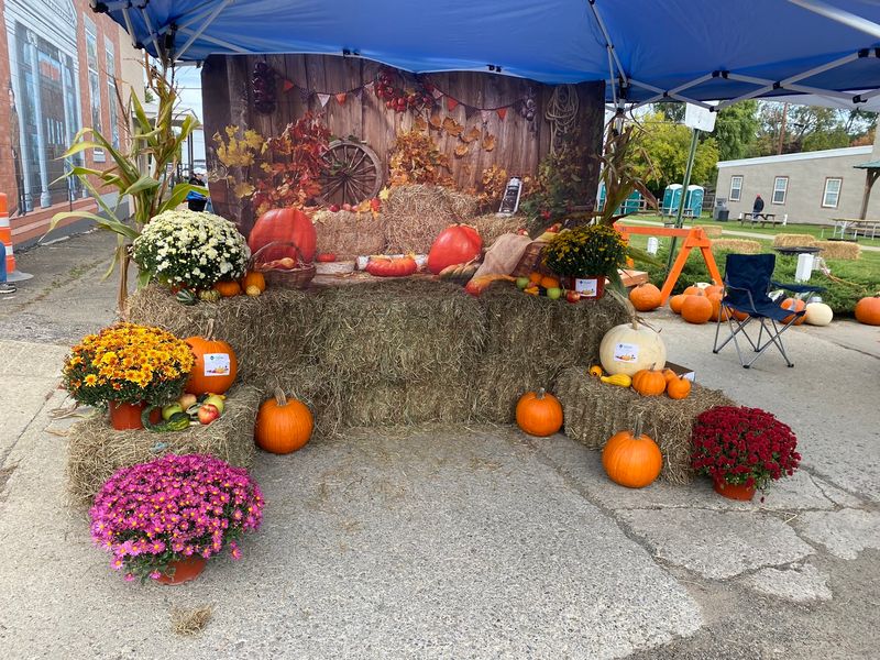 Falls Harvest Festival, Montour Falls, NY