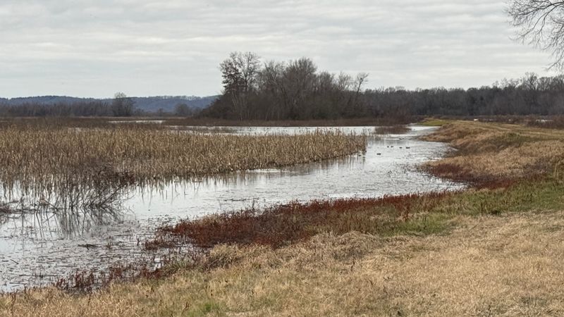 Quiet Roads, Bank Fishing And Seasonal Closures