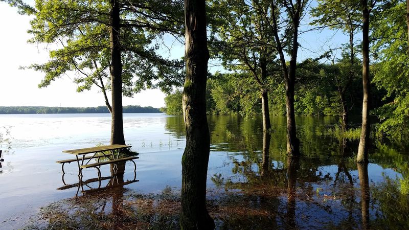 Four Seasons, One Wild Reservoir