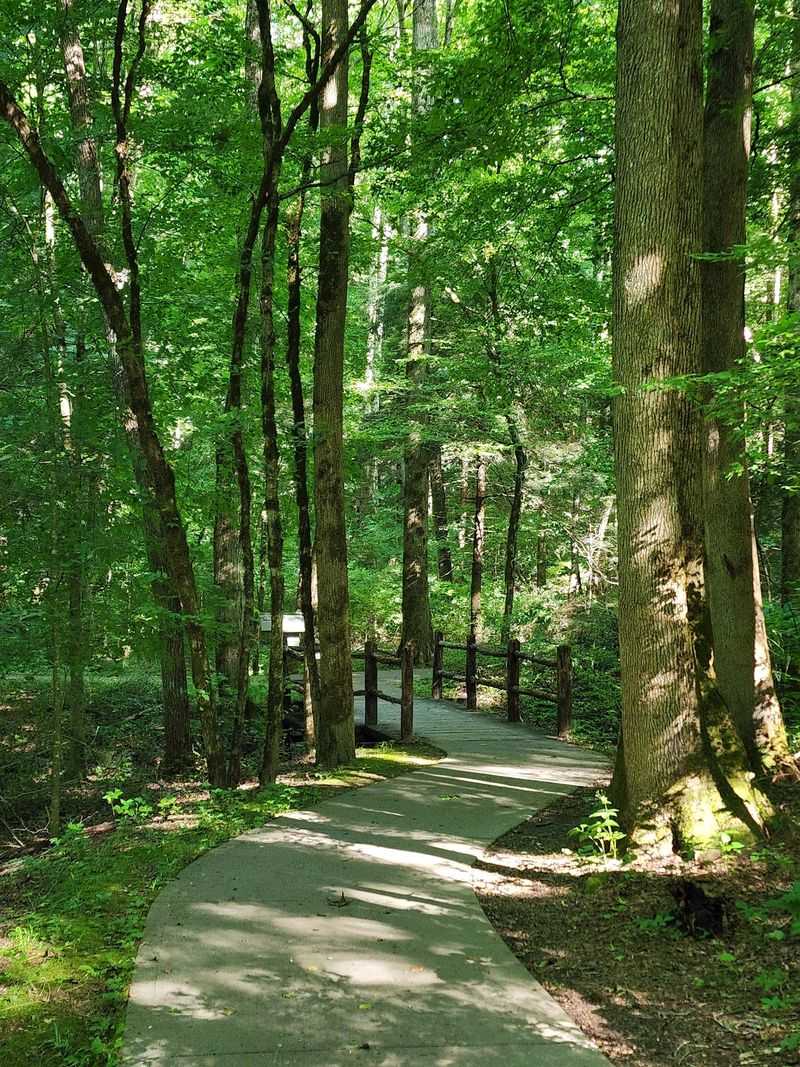 Sugarland Valley Nature Trail Head, Gatlinburg
