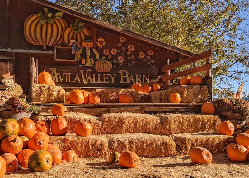 Avila Valley Barn, San Luis Obispo