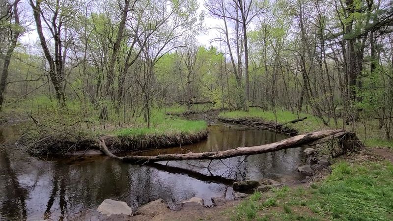 Carter Creek And The Quiet South Side