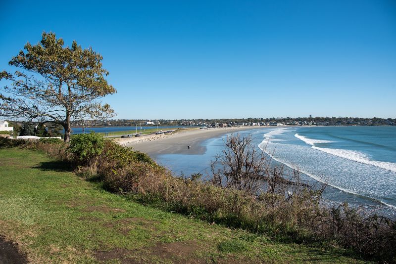 Environmental Concerns And Preservation Efforts