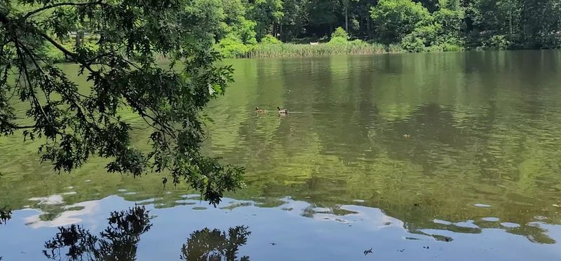 Water So Clear You Can See The Bottom