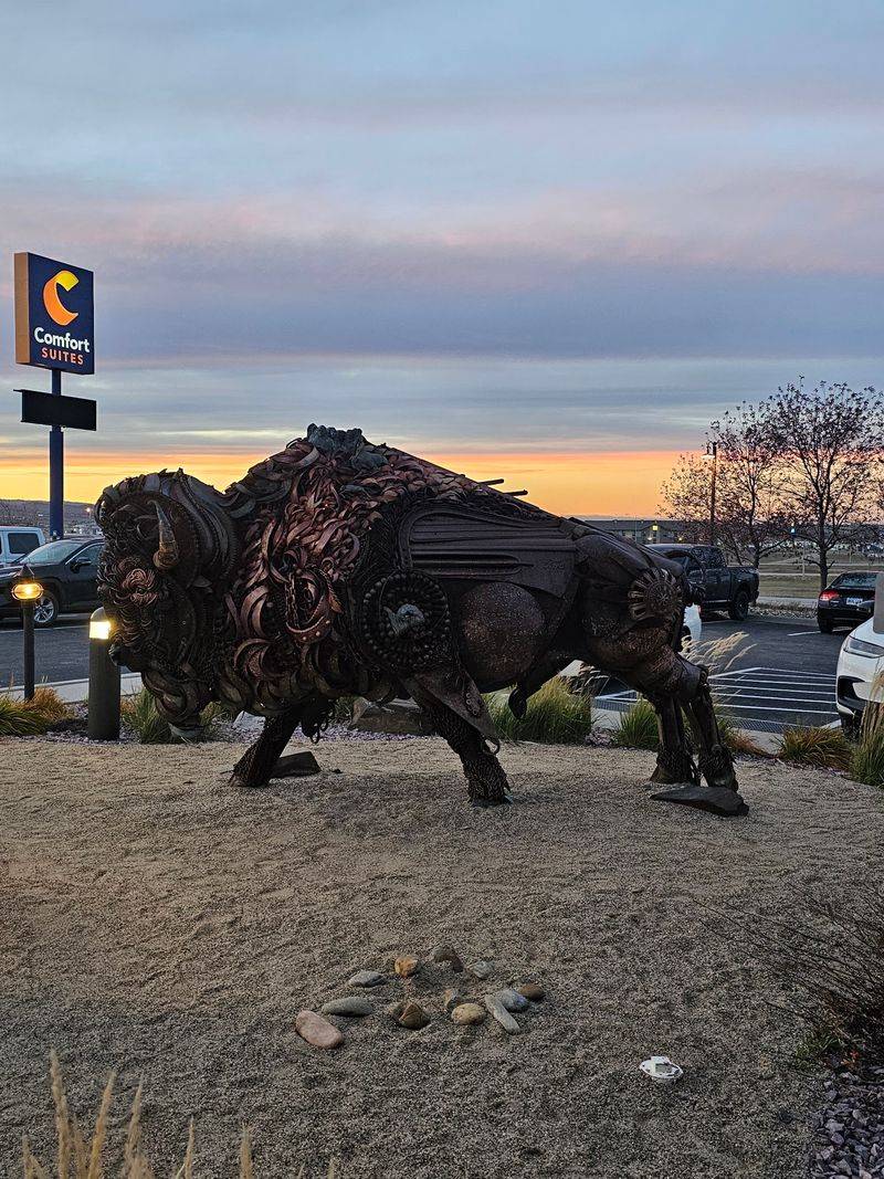 Dakotah The Metal Buffalo Out Front