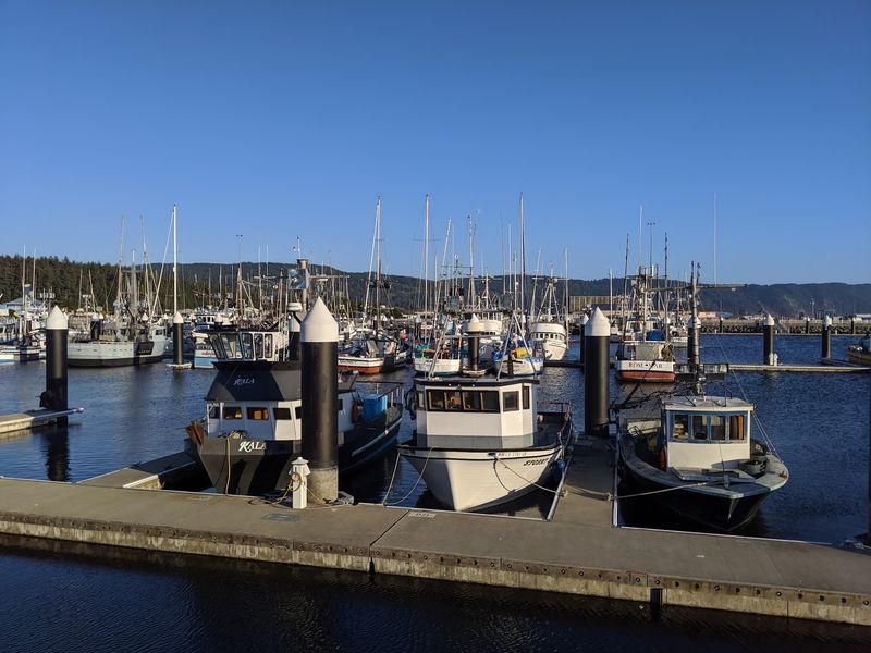 Sea Lions, Crab Boats, And Harbor Charm