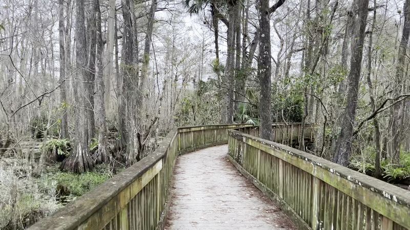 Kirby Storter Roadside Park Hides A Perfect Boardwalk