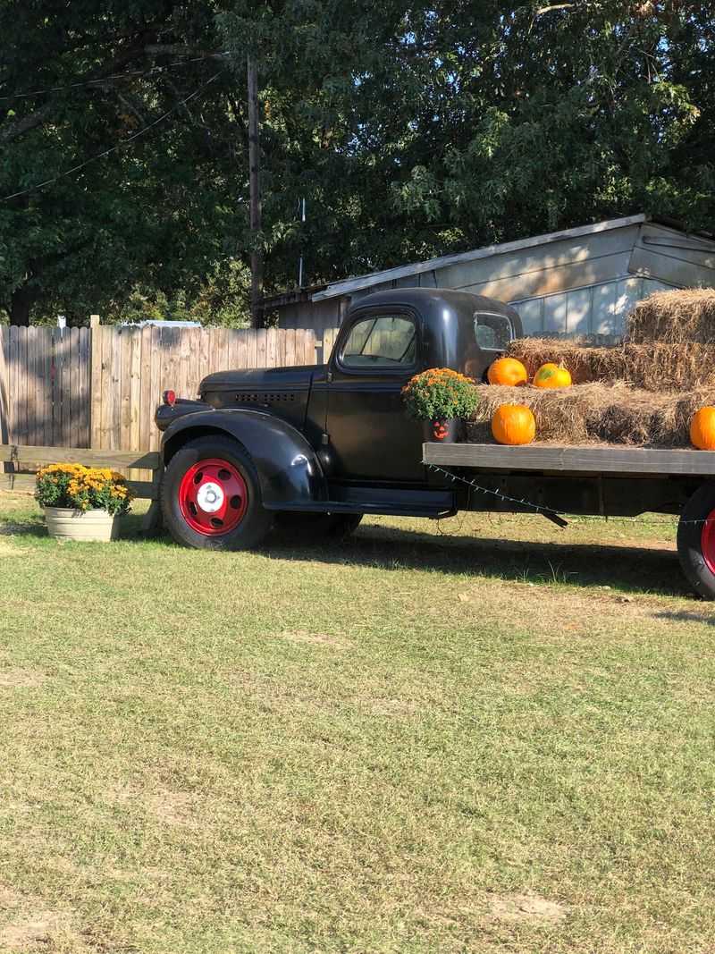A Century-Old Farm in the Shady Grove Community