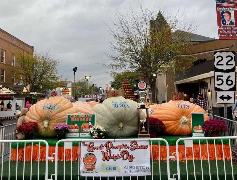 Eight Blocks of Downtown, Handed Over to a Gourd