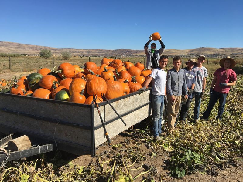 Italian Roots And A Family Handoff