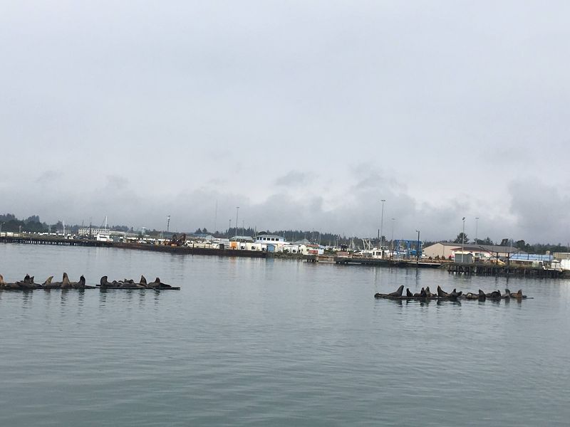 Classes, Culture, And A Close-Knit Community