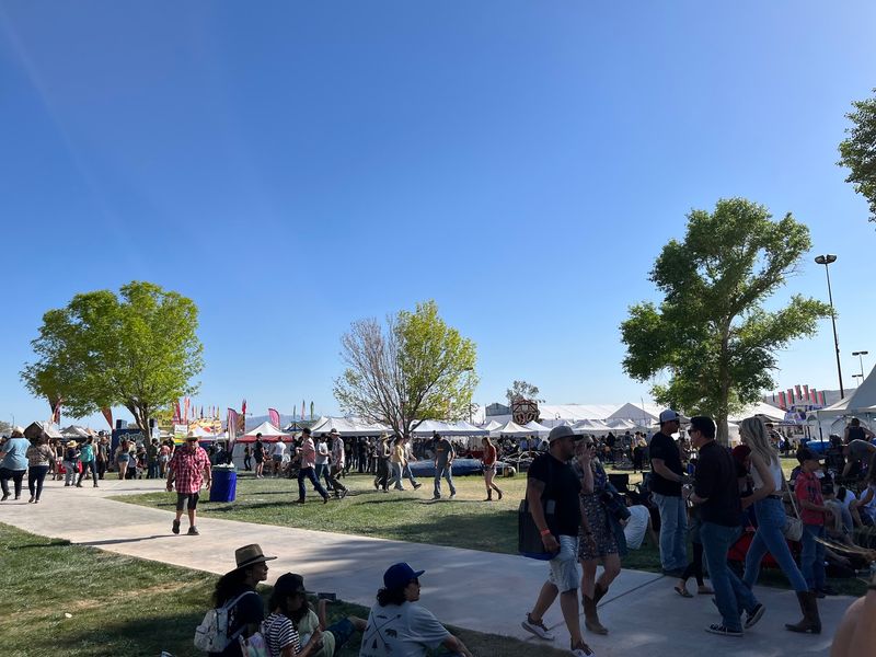Shade Trees And The Blanket Strategy