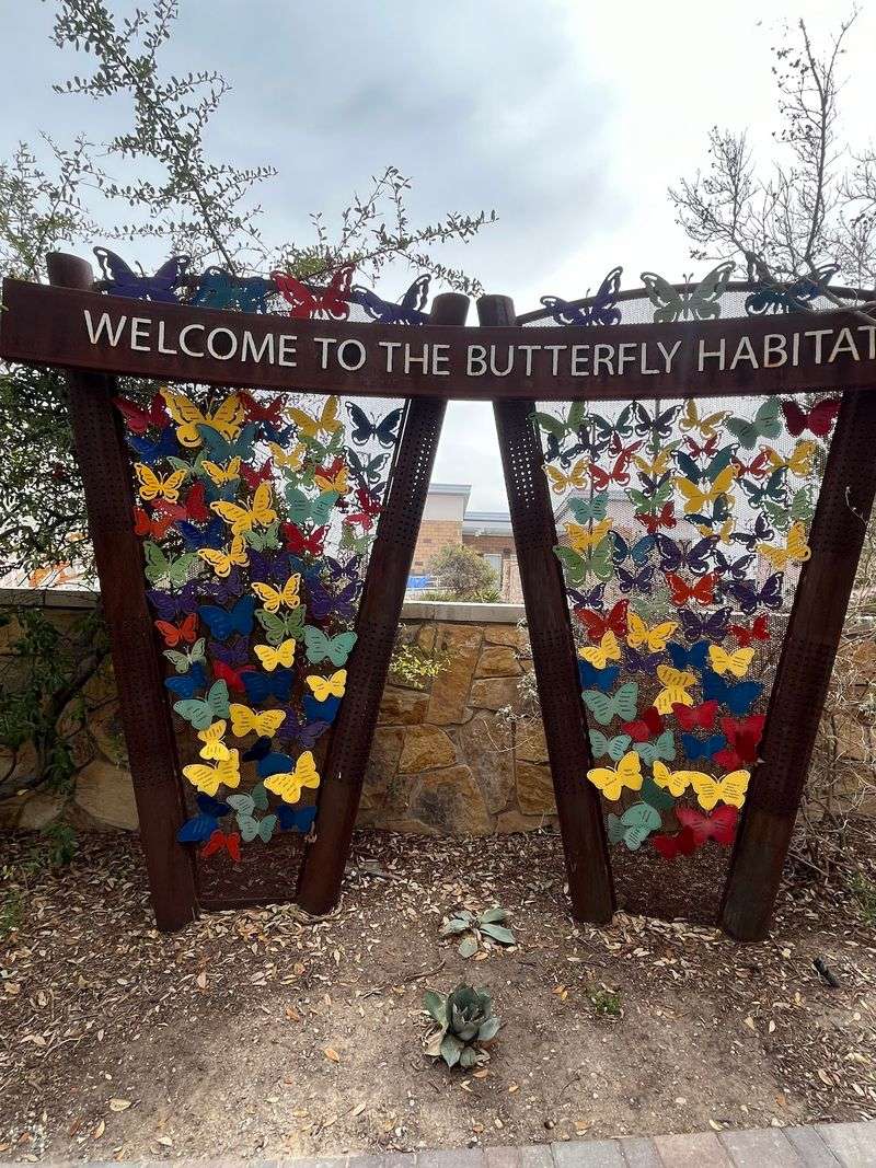 Fluttering Friends In The Butterfly Habitat