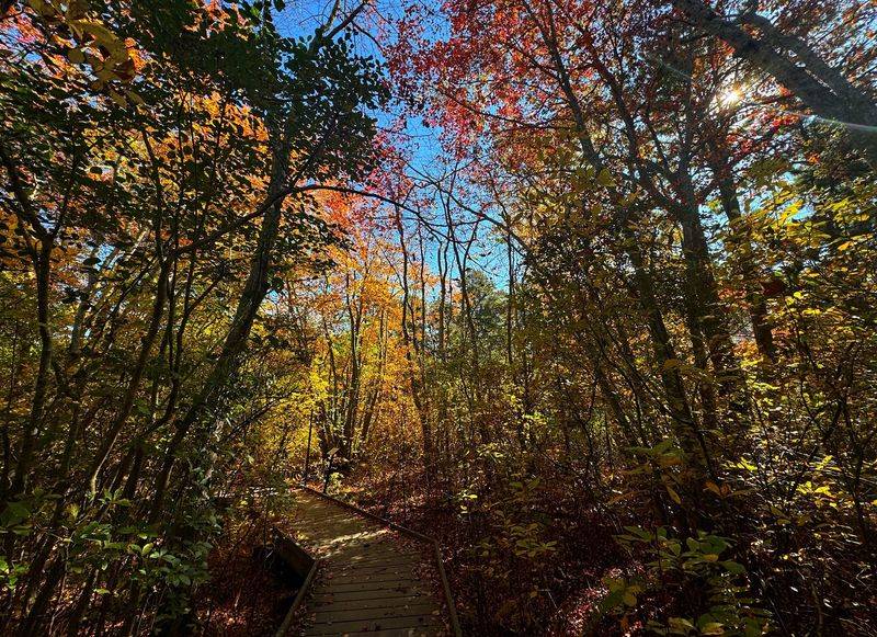 Seven Miles Of Trails Built For Every Pair Of Legs