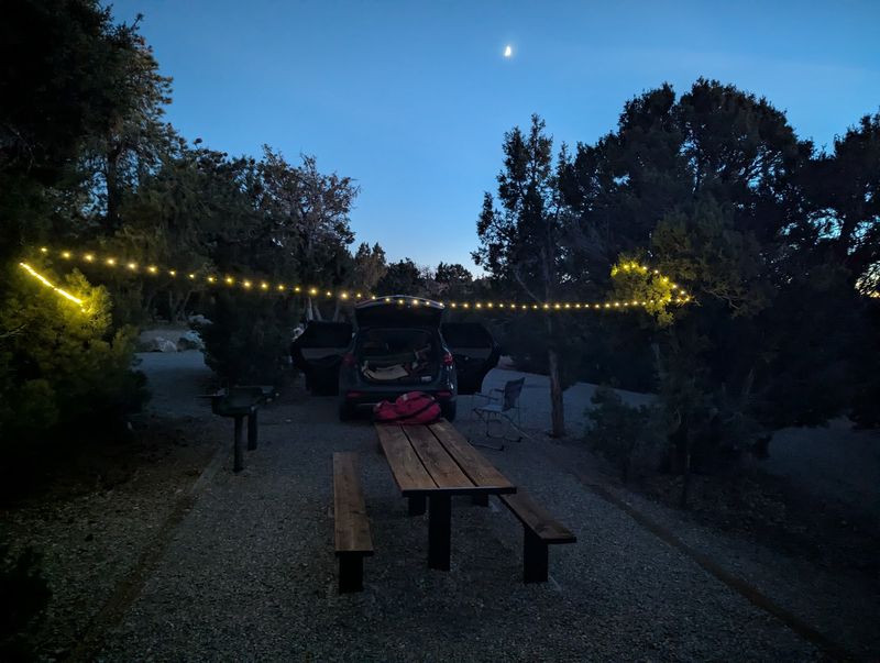 Night Skies Worth Staying Up For