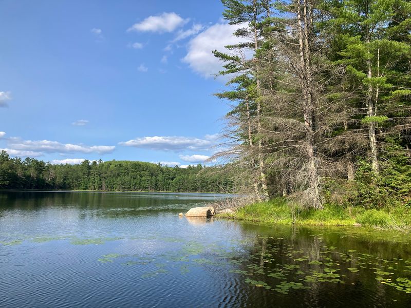 A Chain Of Wild Lakes With No Cottages In Sight