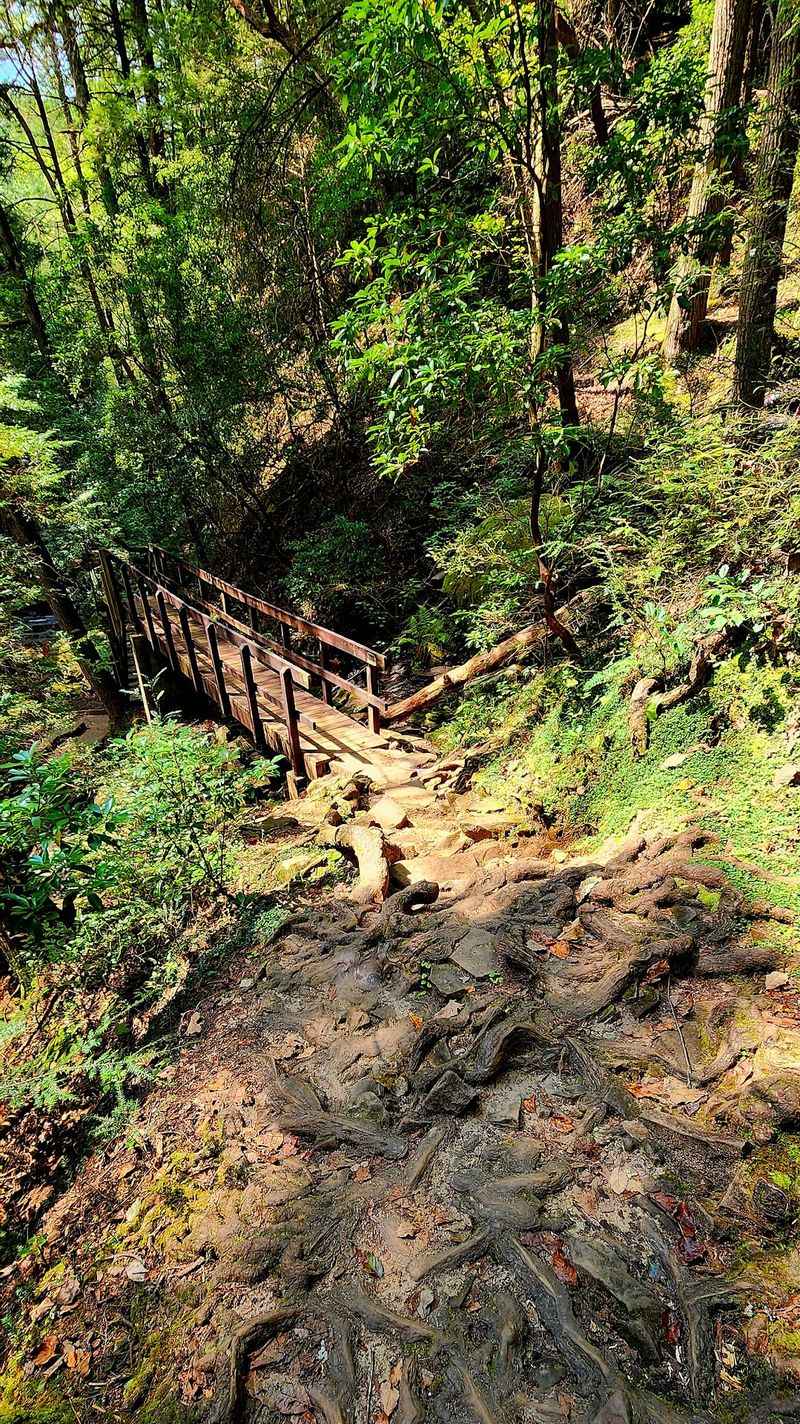 Fiery Gizzard State Park