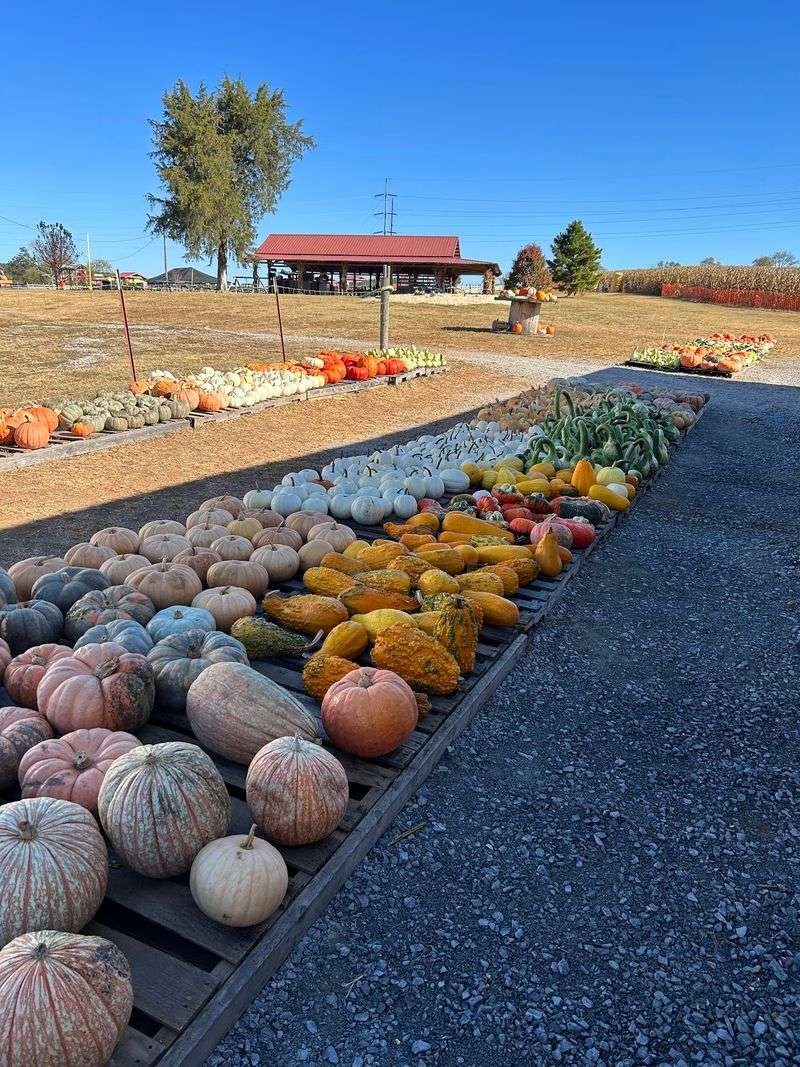 Fall Festival At Mayfield Farm Park