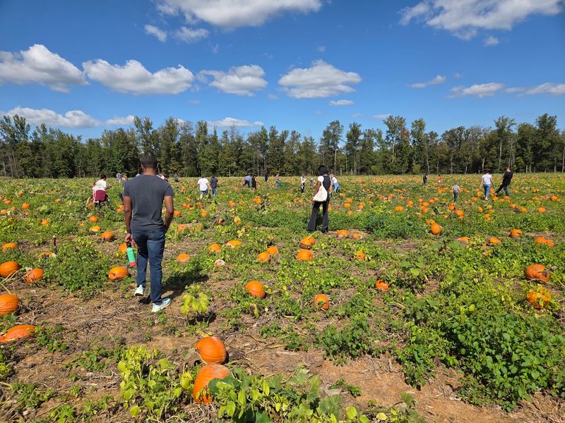 Fall Festival At Lyon Family Farms