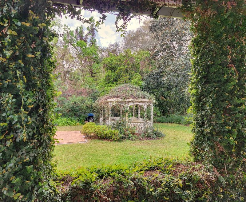 Micanopy