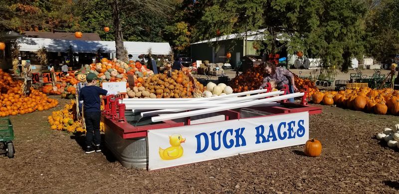 Maple Syrup, Preserves, And Fresh Produce To Take Home