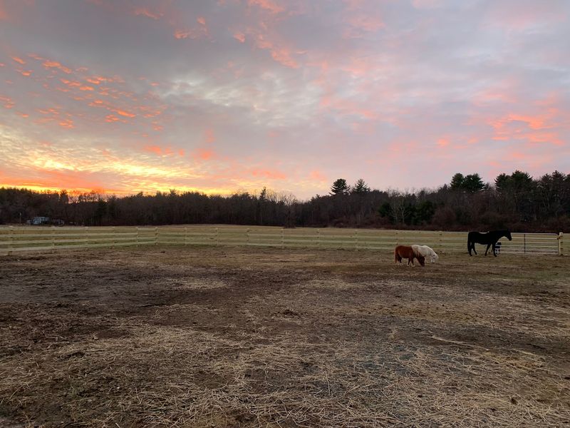 An Eleven Acre Gift From A Neighbor