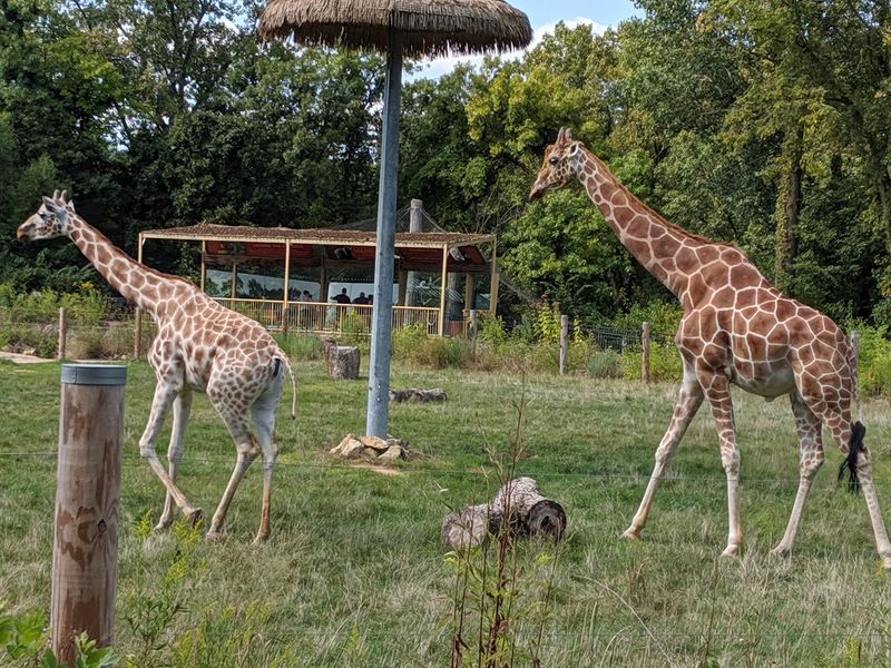 Where The Zoo Sits On The Map