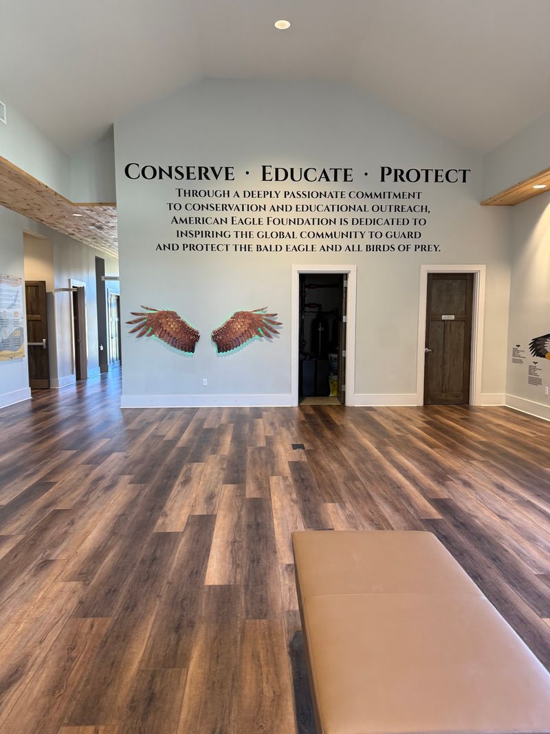 A Museum That Measures Your Wingspan