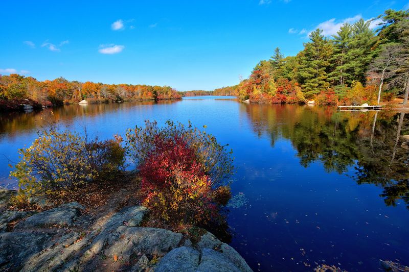 Where Cleveland Pond Shines