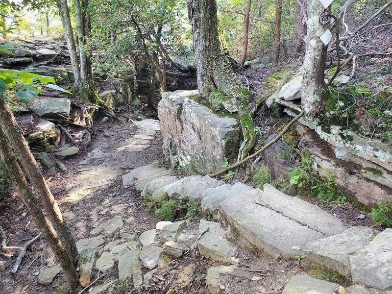 Stone Door Trail